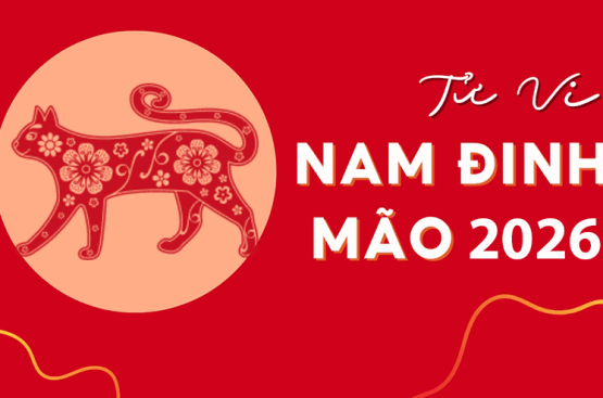 Tử vi tuổi Đinh Mão năm 2026 nam mạng – Khi sao xấu trùng vận xấu sẽ ảnh hưởng như thế nào? Tử vi tuổi Đinh Mão năm 2026 nam mạng – Khi sao xấu trùng vận xấu sẽ ảnh hưởng như thế nào?