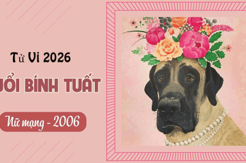 Tử vi tuổi Bính Tuất năm 2026 nữ mạng – Hướng học hành và sự nghiệp nên chọn gì? Tử vi tuổi Bính Tuất năm 2026 nữ mạng – Hướng học hành và sự nghiệp nên chọn gì?