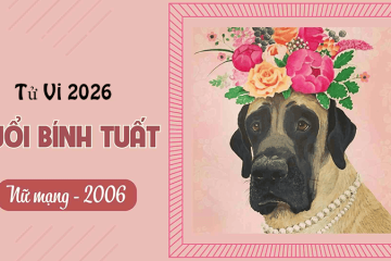 Tử vi tuổi Bính Tý năm 2026 nữ mạng: Tài lộc dồi dào, thăng tiến công việc Tử vi tuổi Bính Tý năm 2026 nữ mạng: Tài lộc dồi dào, thăng tiến công việc