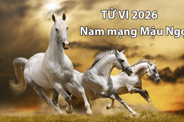 Tử vi tuổi Mậu Ngọ năm 2026 nam mạng – Cục diện Thái Tuế và vận trình biến động ra sao? Tử vi tuổi Mậu Ngọ năm 2026 nam mạng – Cục diện Thái Tuế và vận trình biến động ra sao?