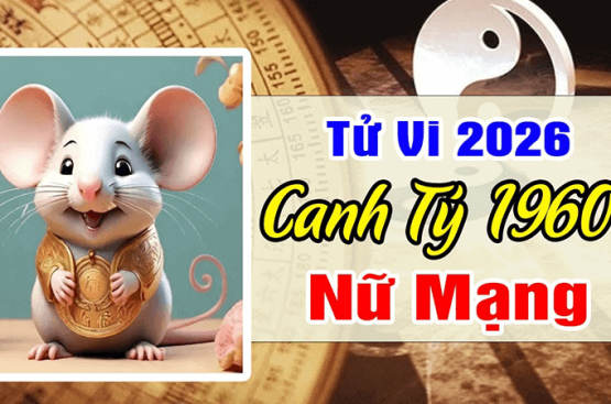 Tử vi tuổi Canh Tý năm 2026 nữ mạng – Chi tiết sao chiếu mệnh và hạn vận năm Bính Ngọ? Tử vi tuổi Canh Tý năm 2026 nữ mạng – Chi tiết sao chiếu mệnh và hạn vận năm Bính Ngọ?