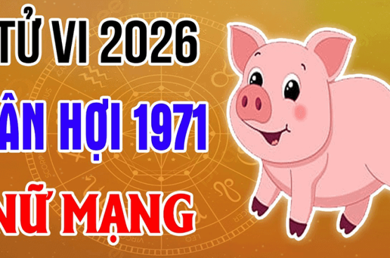 Tử vi tuổi Tân Hợi năm 2026 nữ mạng – Hạn Tam Tai liệu có ứng nghiệm trong năm nay? Tử vi tuổi Tân Hợi năm 2026 nữ mạng – Hạn Tam Tai liệu có ứng nghiệm trong năm nay?