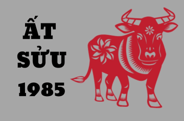Tử vi tuổi Ất Sửu năm 2026 nữ mạng – Cảnh báo vận hạn nguy hiểm và cách phòng tránh Tử vi tuổi Ất Sửu năm 2026 nữ mạng – Cảnh báo vận hạn nguy hiểm và cách phòng tránh