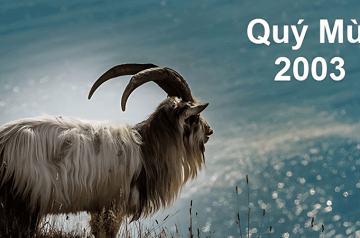 Tử vi tuổi Quý Mùi năm 2026 nữ mạng – Vận trình sự nghiệp và tài lộc có thăng hoa hay suy giảm? Tử vi tuổi Quý Mùi năm 2026 nữ mạng – Vận trình sự nghiệp và tài lộc có thăng hoa hay suy giảm?