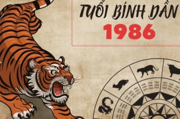 Tử vi tuổi Bính Dần năm 2026 nữ mạng – Hạn có nặng không, cách hóa giải ra sao? Tử vi tuổi Bính Dần năm 2026 nữ mạng – Hạn có nặng không, cách hóa giải ra sao?