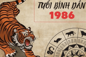 Tử vi tuổi Nhâm Tuất năm 2026 nữ mạng – Sao Thủy Diệu chiếu mệnh mang lại thuận lợi hay bất trắc? Tử vi tuổi Nhâm Tuất năm 2026 nữ mạng – Sao Thủy Diệu chiếu mệnh mang lại thuận lợi hay bất trắc?