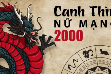 Tử vi tuổi Canh Thìn năm 2026 nữ mạng – Năm Bính Ngọ có mang lại cơ hội bứt phá sự nghiệp? Tử vi tuổi Canh Thìn năm 2026 nữ mạng – Năm Bính Ngọ có mang lại cơ hội bứt phá sự nghiệp?