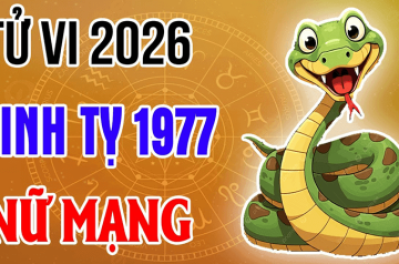 Tử vi tuổi Đinh Tỵ năm 2026 nữ mạng – Vận mệnh bước sang trung niên thay đổi ra sao? Tử vi tuổi Đinh Tỵ năm 2026 nữ mạng – Vận mệnh bước sang trung niên thay đổi ra sao?