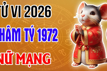 Tử vi tuổi Nhâm Tý năm 2026 nữ mạng – Vận trình 12 tháng có gì khởi sắc? Tử vi tuổi Nhâm Tý năm 2026 nữ mạng – Vận trình 12 tháng có gì khởi sắc?