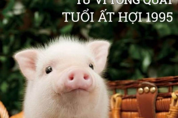 Tử vi tuổi Ất Hợi năm 2026 nữ mạng: Nhiều cơ hội phát triển, chú ý cân bằng năng lượng Tử vi tuổi Ất Hợi năm 2026 nữ mạng: Nhiều cơ hội phát triển, chú ý cân bằng năng lượng