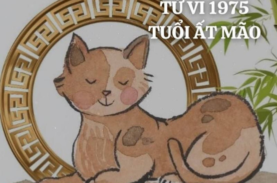 Tử vi tuổi Ất Mão năm 2026 nam mạng: Thay đổi tích cực ở sự nghiệp và tài chính Tử vi tuổi Ất Mão năm 2026 nam mạng: Thay đổi tích cực ở sự nghiệp và tài chính