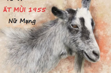 Tử vi tuổi Ất Mùi năm 2026 nữ mạng: Nhiều biến động lớn, cẩn trọng mọi việc Tử vi tuổi Ất Mùi năm 2026 nữ mạng: Nhiều biến động lớn, cẩn trọng mọi việc