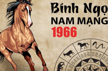 Tử vi tuổi Bính Ngọ năm 2026 nam mạng: Chuyển biến quan trọng, nhiều thay đổi lớn Tử vi tuổi Bính Ngọ năm 2026 nam mạng: Chuyển biến quan trọng, nhiều thay đổi lớn