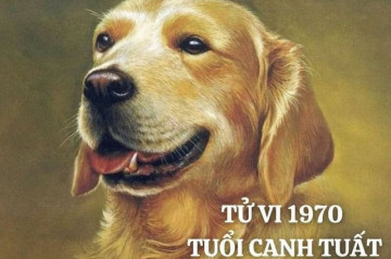 Tử vi tuổi Canh Tuất năm 2026 nam mạng: Đón nhận cơ hội phát triển cả năm Tử vi tuổi Canh Tuất năm 2026 nam mạng: Đón nhận cơ hội phát triển cả năm