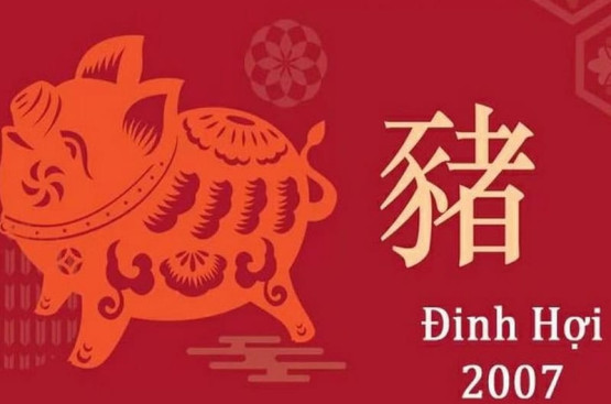 Tử vi tuổi Đinh Hợi năm 2026 nữ mạng: Nhiều biến động trong học tập, sự nghiệp Tử vi tuổi Đinh Hợi năm 2026 nữ mạng: Nhiều biến động trong học tập, sự nghiệp