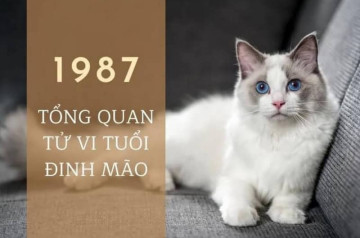 Tử vi tuổi Đinh Mão năm 2026 nữ mạng: Cơ hội phát triển mạnh mẽ Tử vi tuổi Đinh Mão năm 2026 nữ mạng: Cơ hội phát triển mạnh mẽ