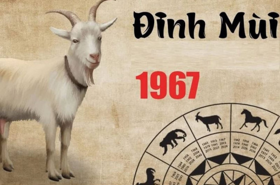 Tử vi tuổi Đinh Mùi năm 2026 nam mạng: Thay đổi tích cực, đón nhận may mắn Tử vi tuổi Đinh Mùi năm 2026 nam mạng: Thay đổi tích cực, đón nhận may mắn