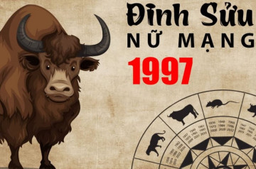 Tử vi tuổi Đinh Sửu năm 2026 nữ mạng: Chú ý về tài chính và sức khoẻ cả năm Tử vi tuổi Đinh Sửu năm 2026 nữ mạng: Chú ý về tài chính và sức khoẻ cả năm