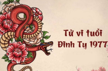 Tử vi tuổi Đinh Tỵ năm 2026 nam mạng: Đón nhận vận may về công danh Tử vi tuổi Đinh Tỵ năm 2026 nam mạng: Đón nhận vận may về công danh
