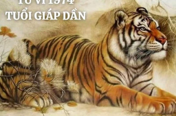 Tử vi tuổi Giáp Dần năm 2026 nữ mạng: Cơ hội và thử thách song song Tử vi tuổi Giáp Dần năm 2026 nữ mạng: Cơ hội và thử thách song song
