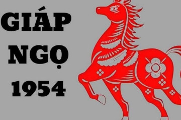 Tử vi tuổi Giáp Ngọ năm 2026 nữ mạng: Biến động về tài chính, sức khoẻ và tình cảm Tử vi tuổi Giáp Ngọ năm 2026 nữ mạng: Biến động về tài chính, sức khoẻ và tình cảm
