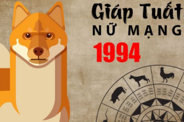 Tử vi tuổi Giáp Tuất năm 2026 nữ mạng: Cẩn trọng biến động do sao chiếu mệnh Tử vi tuổi Giáp Tuất năm 2026 nữ mạng: Cẩn trọng biến động do sao chiếu mệnh
