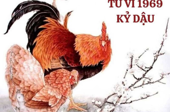 Tử vi tuổi Kỷ Dậu năm 2026 nam mạng: Giai đoạn giao thoa, nhiều thay đổi lớn Tử vi tuổi Kỷ Dậu năm 2026 nam mạng: Giai đoạn giao thoa, nhiều thay đổi lớn