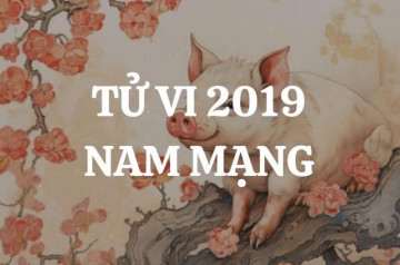 Tử vi tuổi Kỷ Hợi năm 2026 nam mạng: Nhiều thách thức ở tài chính và sức khoẻ Tử vi tuổi Kỷ Hợi năm 2026 nam mạng: Nhiều thách thức ở tài chính và sức khoẻ