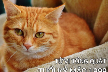 Tử vi tuổi Giáp Tuất năm 2026 nữ mạng: Cẩn trọng biến động do sao chiếu mệnh Tử vi tuổi Giáp Tuất năm 2026 nữ mạng: Cẩn trọng biến động do sao chiếu mệnh