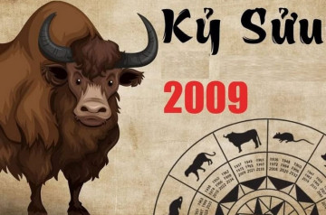 Tử vi tuổi Kỷ Sửu năm 2026 nữ mạng: Đối diện biến động về học tập và sức khoẻ Tử vi tuổi Kỷ Sửu năm 2026 nữ mạng: Đối diện biến động về học tập và sức khoẻ
