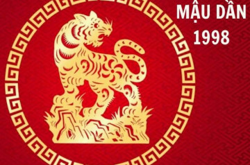 Tử vi tuổi Mậu Dần năm 2026 nữ mạng: Chuyển biến tích cực, tài chính ổn định Tử vi tuổi Mậu Dần năm 2026 nữ mạng: Chuyển biến tích cực, tài chính ổn định