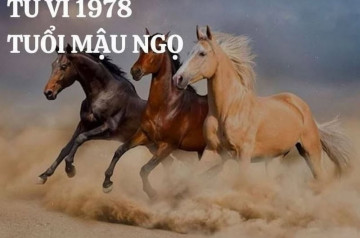 Tử vi tuổi Mậu Ngọ năm 2026 nữ mạng: Cơ hội thăng tiến, tài chính tăng trưởng Tử vi tuổi Mậu Ngọ năm 2026 nữ mạng: Cơ hội thăng tiến, tài chính tăng trưởng