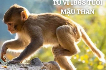 Tử vi tuổi Mậu Thân năm 2026 nam mạng: Nhiều thay đổi lớn, chú ý vấn đề tâm lý Tử vi tuổi Mậu Thân năm 2026 nam mạng: Nhiều thay đổi lớn, chú ý vấn đề tâm lý