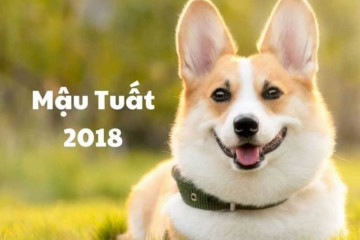 Tử vi trọn đời Giáp Thân 2004 – Luận giải chi tiết về tài vận, hôn nhân và hậu vận Tử vi trọn đời Giáp Thân 2004 – Luận giải chi tiết về tài vận, hôn nhân và hậu vận