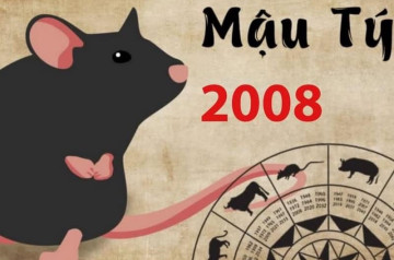 Tử vi tuổi Mậu Tý năm 2026 nữ mạng: Thay đổi quan trọng, chú ý nghề nghiệp Tử vi tuổi Mậu Tý năm 2026 nữ mạng: Thay đổi quan trọng, chú ý nghề nghiệp