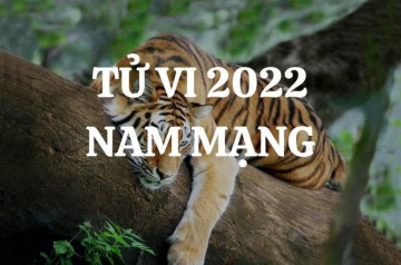 Tử vi tuổi Nhâm Dần năm 2026 nam mạng: Thách thức và cơ hội đan xen Tử vi tuổi Nhâm Dần năm 2026 nam mạng: Thách thức và cơ hội đan xen