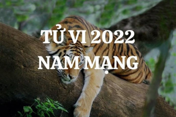 Tử vi tuổi Tân Sửu năm 2026 nam mạng – Vận số tuổi 66 nói lên điều gì? Tử vi tuổi Tân Sửu năm 2026 nam mạng – Vận số tuổi 66 nói lên điều gì?