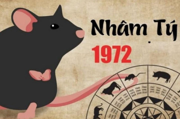 Tử vi tuổi Nhâm Tý năm 2026 nam mạng: Nhiều biến động trong mọi lĩnh vực Tử vi tuổi Nhâm Tý năm 2026 nam mạng: Nhiều biến động trong mọi lĩnh vực