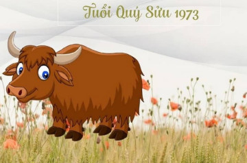 Tử vi tuổi Quý Sửu năm 2026 nữ mạng: Sự nghiệp phát triển, tài chính gia tăng Tử vi tuổi Quý Sửu năm 2026 nữ mạng: Sự nghiệp phát triển, tài chính gia tăng