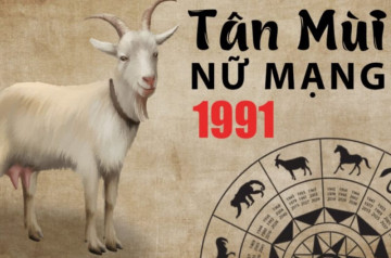 Tử vi tuổi Tân Mùi năm 2026 nữ mạng: Chuyển biến tích cực trong tài chính và sự nghiệp Tử vi tuổi Tân Mùi năm 2026 nữ mạng: Chuyển biến tích cực trong tài chính và sự nghiệp