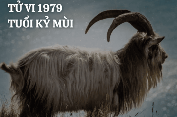 Tử vi trọn đời Kỷ Mùi 1979 – Vận mệnh, tài lộc và gia đạo qua từng giai đoạn Tử vi trọn đời Kỷ Mùi 1979 – Vận mệnh, tài lộc và gia đạo qua từng giai đoạn