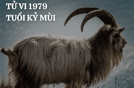 Tử vi trọn đời Kỷ Mùi 1979 – Vận mệnh, tài lộc và gia đạo qua từng giai đoạn Tử vi trọn đời Kỷ Mùi 1979 – Vận mệnh, tài lộc và gia đạo qua từng giai đoạn