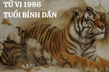 Tử vi trọn đời Bính Dần 1986 – Bản mệnh, tính cách và vận hạn từng giai đoạn cuộc sống Tử vi trọn đời Bính Dần 1986 – Bản mệnh, tính cách và vận hạn từng giai đoạn cuộc sống