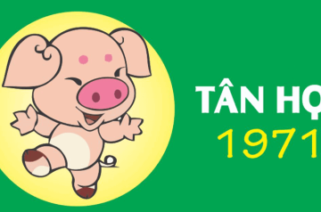Tử vi trọn đời Tân Hợi 1971 – Những năm đại hạn cần đặc biệt lưu ý trong cuộc đời Tử vi trọn đời Tân Hợi 1971 – Những năm đại hạn cần đặc biệt lưu ý trong cuộc đời