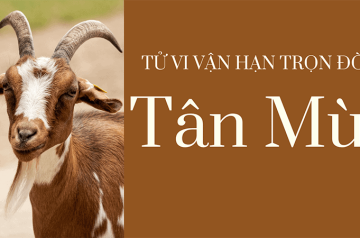 Tử vi trọn đời Tân Mùi 1991 – Hướng nhà, tuổi hợp làm ăn và vận hạn đại kỵ Tử vi trọn đời Tân Mùi 1991 – Hướng nhà, tuổi hợp làm ăn và vận hạn đại kỵ