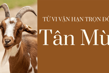 Tử vi trọn đời Đinh Sửu: Bức tranh toàn diện về cuộc đời, sức khỏe và tình duyên Tử vi trọn đời Đinh Sửu: Bức tranh toàn diện về cuộc đời, sức khỏe và tình duyên