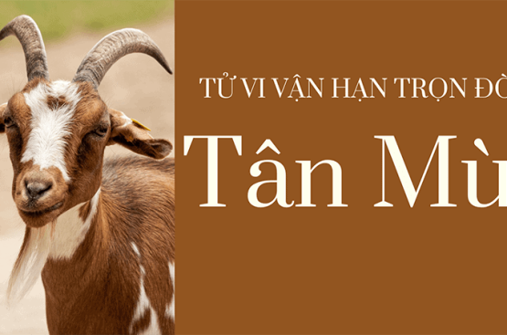 Tử vi trọn đời Tân Mùi 1991 – Hướng nhà, tuổi hợp làm ăn và vận hạn đại kỵ Tử vi trọn đời Tân Mùi 1991 – Hướng nhà, tuổi hợp làm ăn và vận hạn đại kỵ