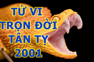 Tử vi trọn đời Tân Tỵ 2001 – Hành trình công danh, sự nghiệp và vận hạn tuổi trẻ Tử vi trọn đời Tân Tỵ 2001 – Hành trình công danh, sự nghiệp và vận hạn tuổi trẻ