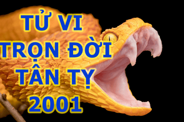 Tử vi trọn đời Canh Thìn 2000 – Bức tranh tổng quan về số mệnh, công danh và gia đạo Tử vi trọn đời Canh Thìn 2000 – Bức tranh tổng quan về số mệnh, công danh và gia đạo