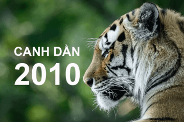 Tử vi trọn đời Canh Dần 2010 – Đường công danh, tài lộc và vận hạn theo từng giai đoạn Tử vi trọn đời Canh Dần 2010 – Đường công danh, tài lộc và vận hạn theo từng giai đoạn